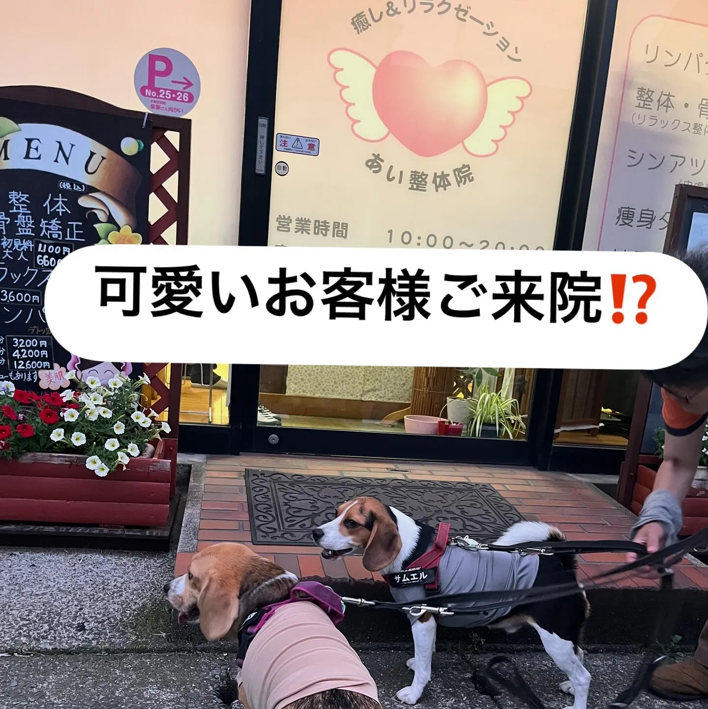 可愛いお客様がご来院⁈